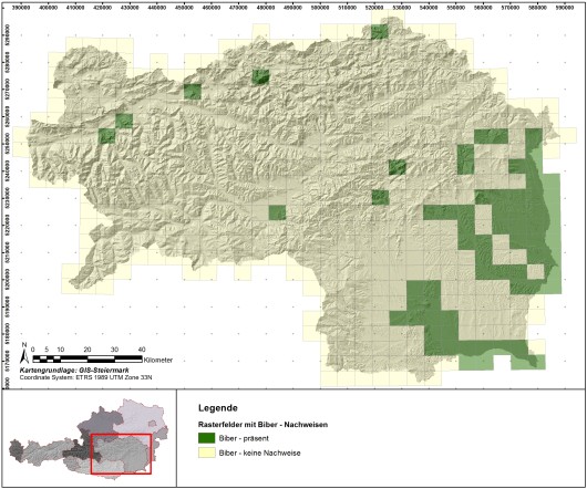 Verbreitung des Bibers in der Steiermark (Stand 2014). Grafik: P. Zimmermann.