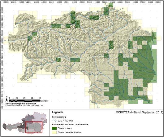 Verbreitung des Bibers in der Steiermark (Stand 2019). Grafik: P. Zimmermann.